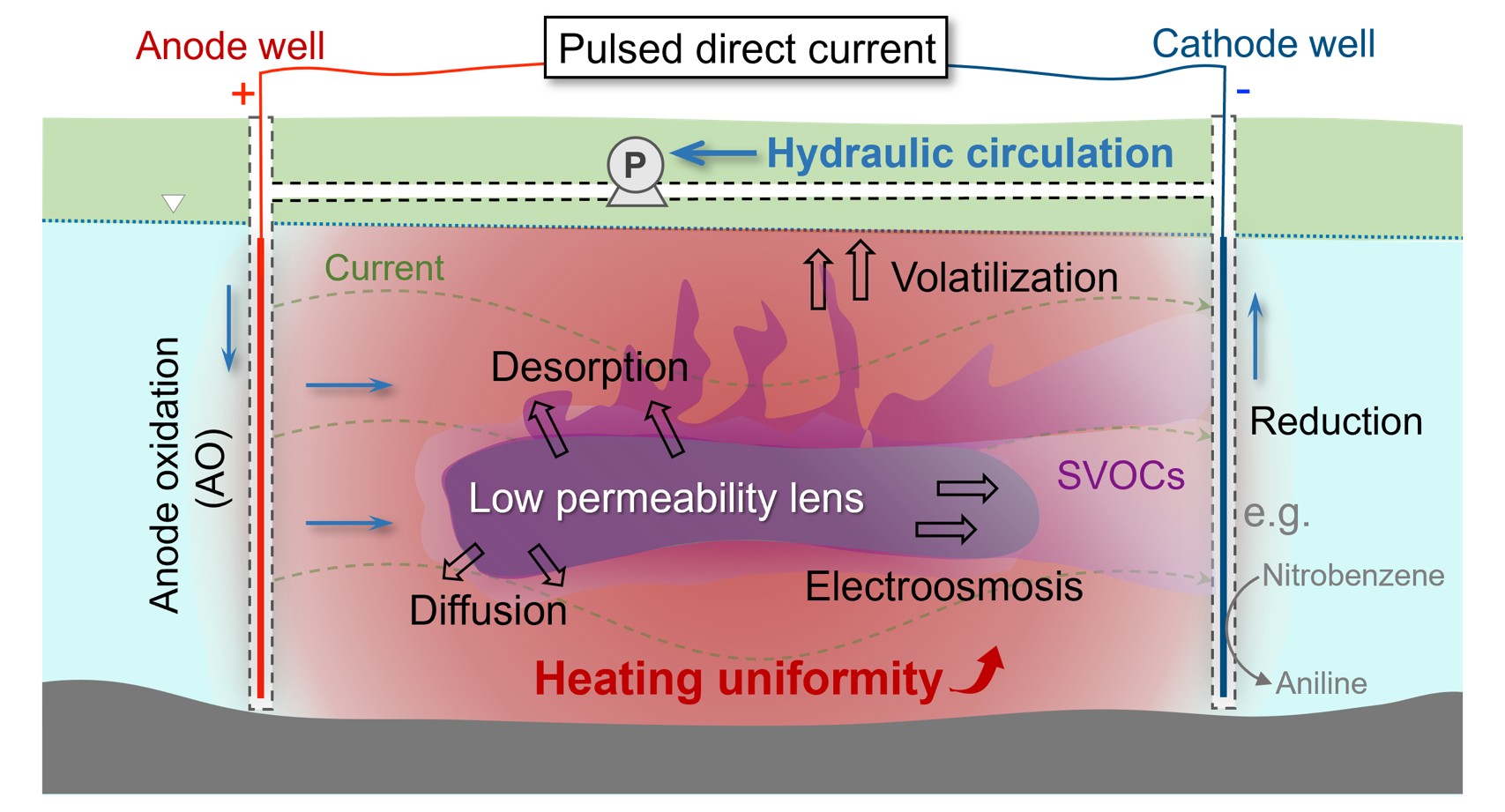 Direct current driven multi-field coupling for contaminant removal in heterogeneous porous media