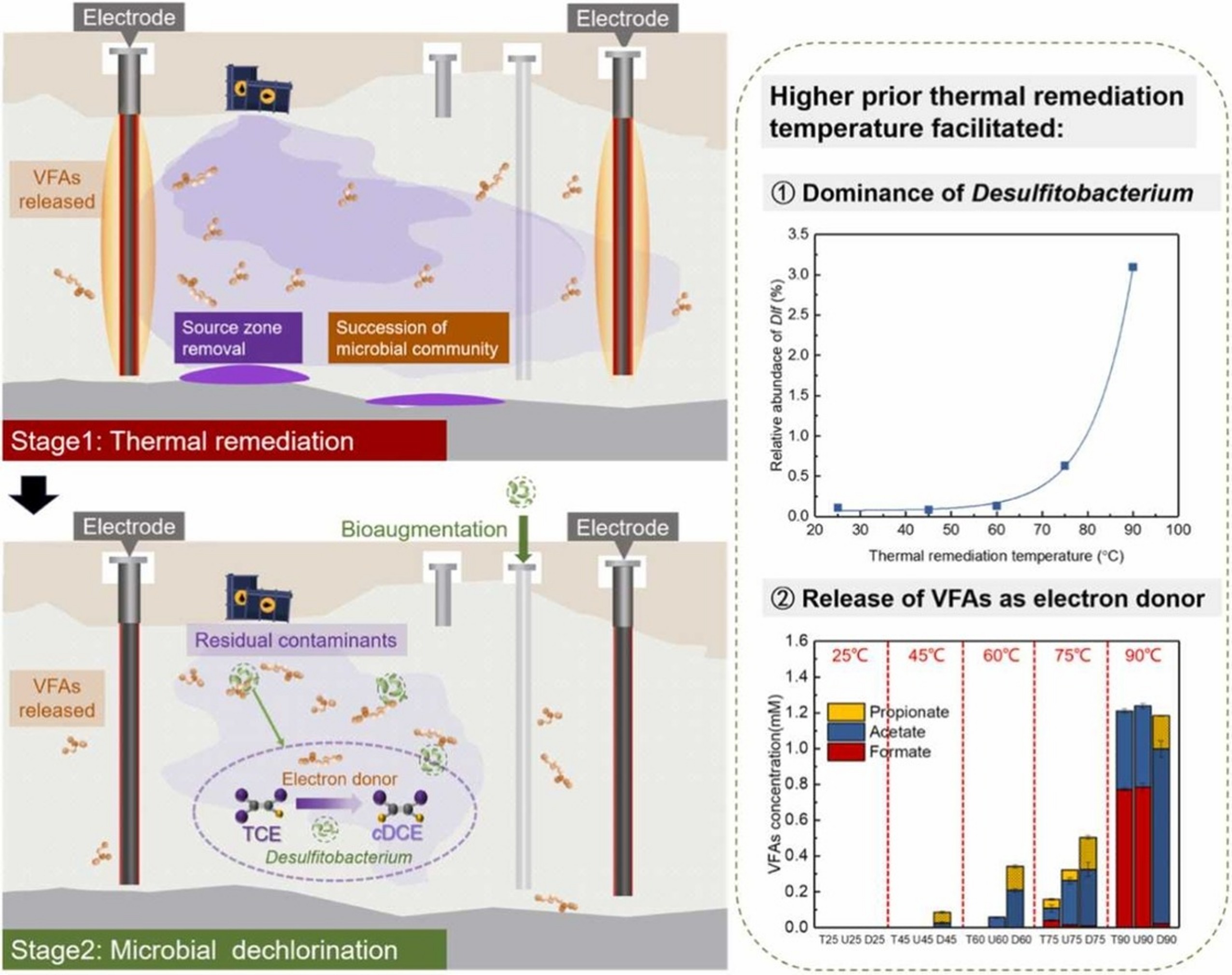 Bioaugmented reductive dechlorination